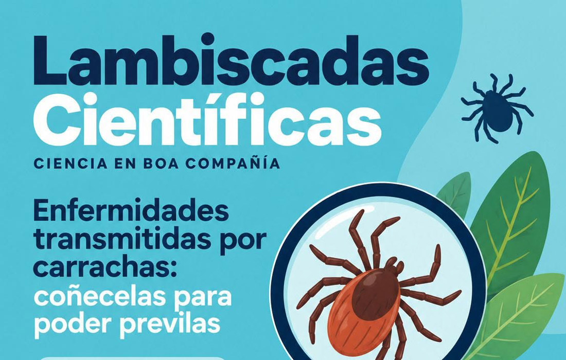 lambiscadas-cientificas-carrachas