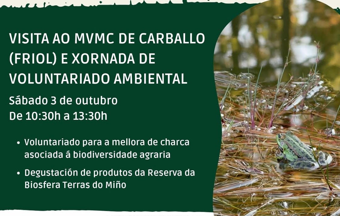 xornada-voluntariado-friol