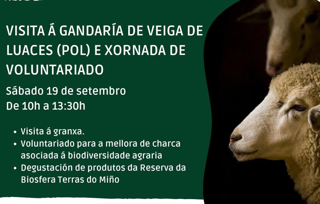 xornada-voluntariado-pol