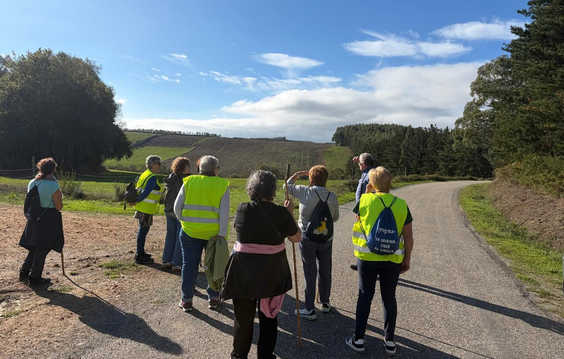 curso-usc-xermade-camino-conecemento