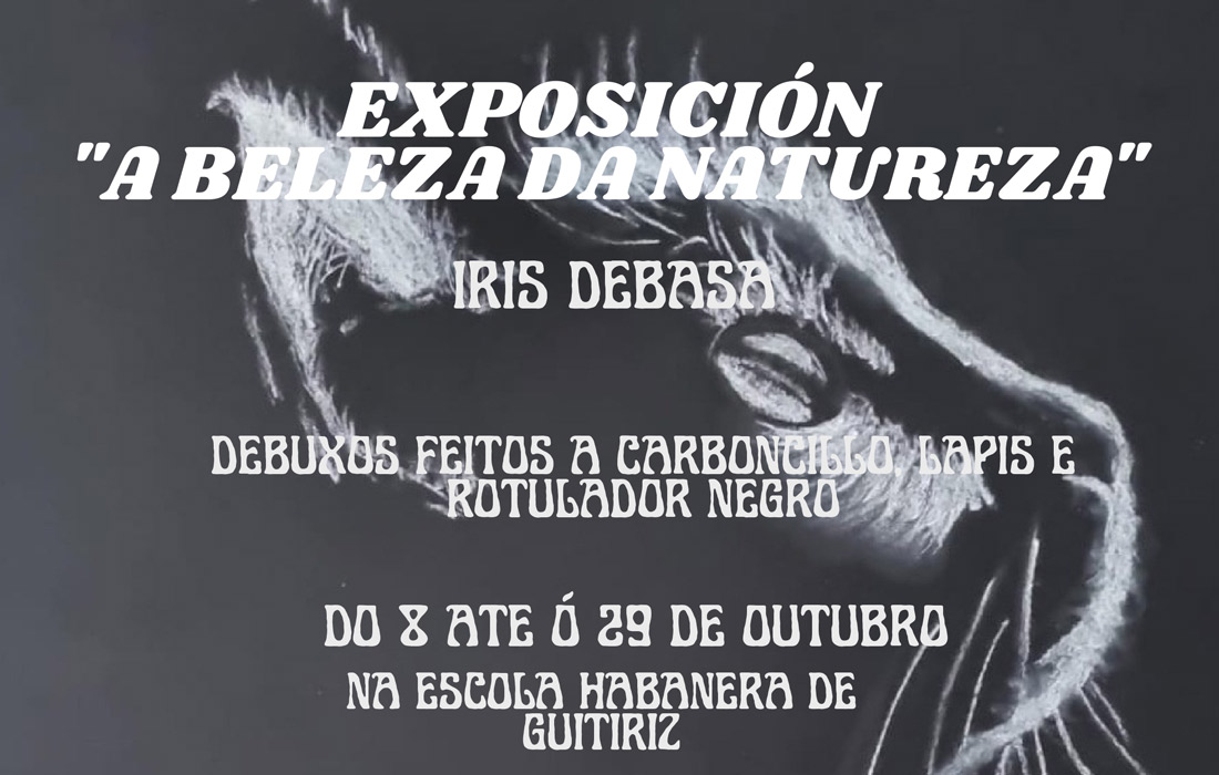 exposicion-a-beleza-da-natureza