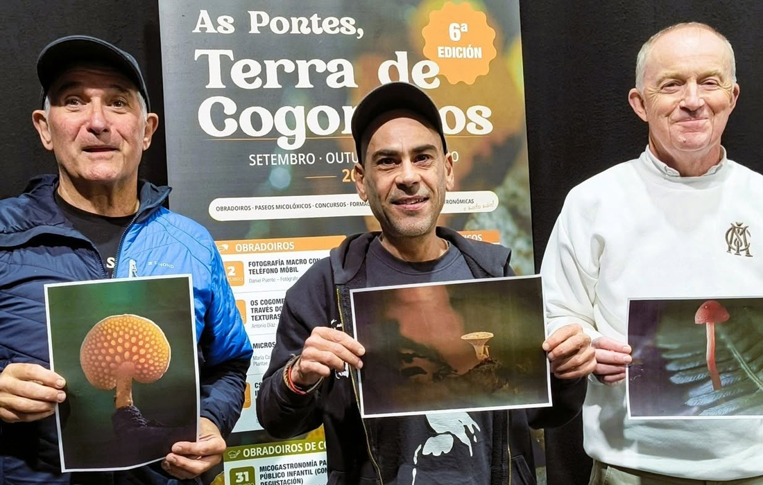 ganadores-concurso-fotografia-terra-de-cogomelos