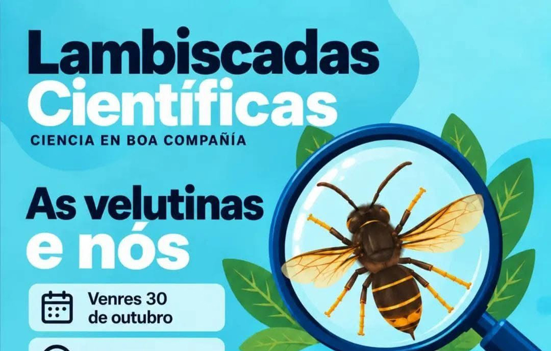 lambiscadas-cientificas-velutina-friol