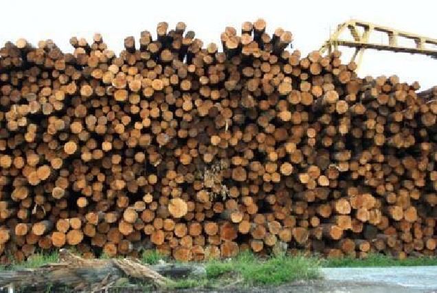 lumber_logs_wood_timber_pile_material_industry_cut 1148870