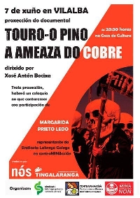 A ameaza do cobre en Vilalba