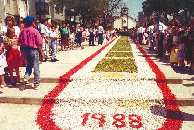 alfombra2