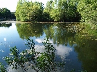 Lagos de Lousada