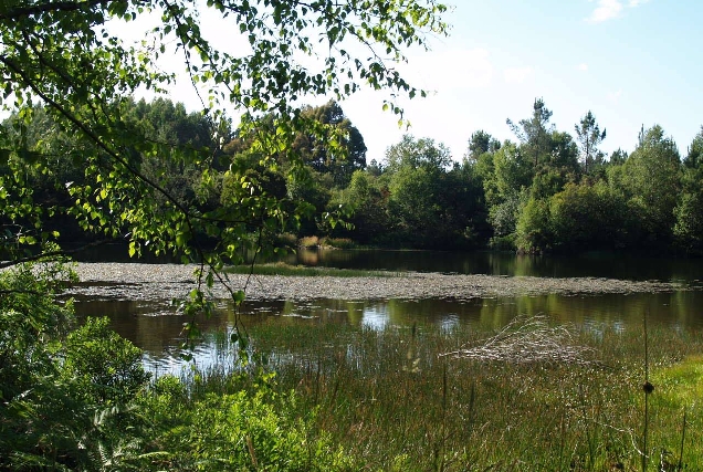 Lagos de Lousada2