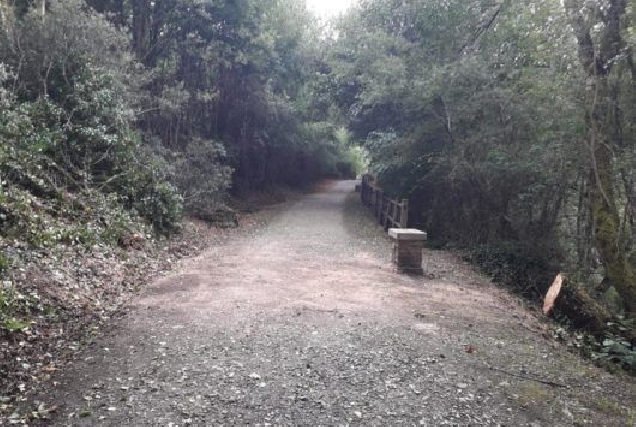 O Concello de Vilalba retira de urxencia unha árbore derrubada polo vento no paseo fluvial