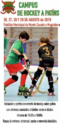 Hockey a patins