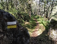 Ruta da Auga 4