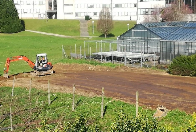 horto ecolóxico campus lugo