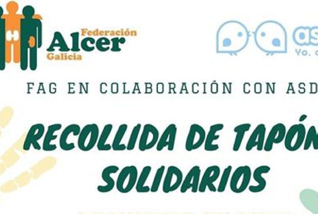 miniatura recollida tapóns solidarios alcer