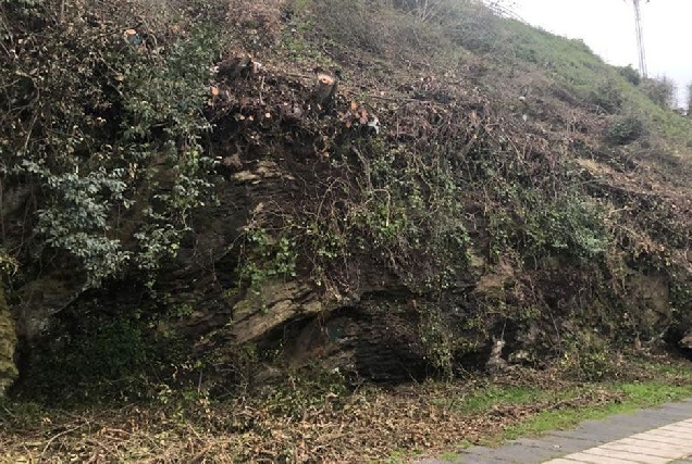 PASEO DAS ACEAS RIBADEO