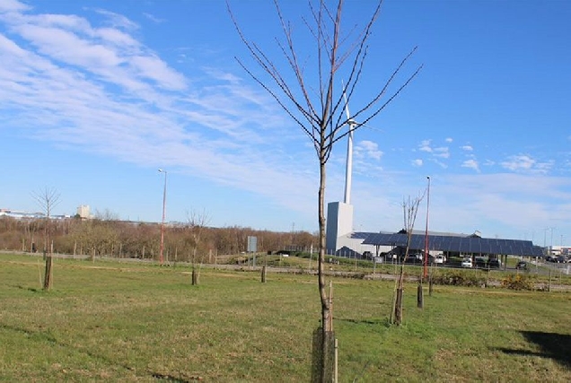 souto as gándaras lugo campus