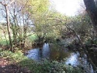 Conservacion Lugo RIO Neira