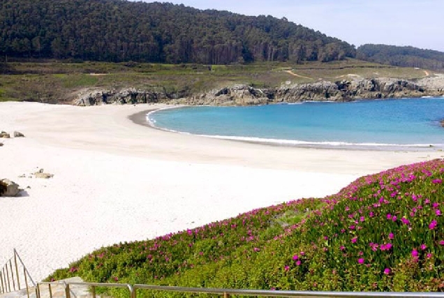 a marosa praia burela