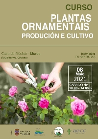 curso plantas ornamentais muras