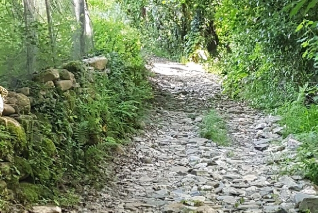 camino quiroga