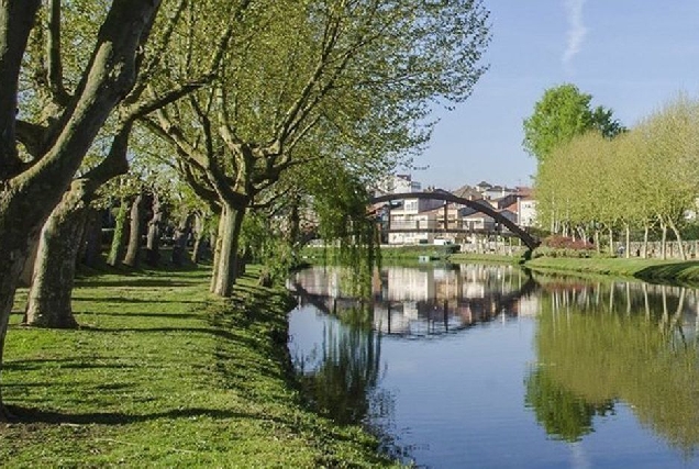 ponte madeira monforte