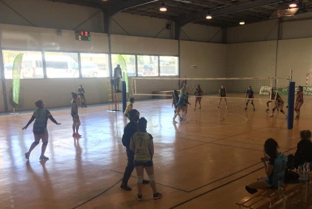 voleibol