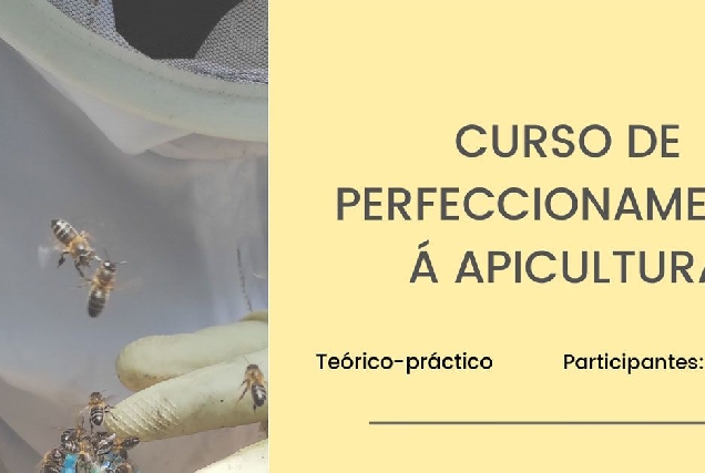 CURSO DE PERFECCIONAMIENTO goente portada