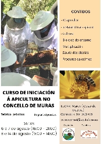 curso apicultura muras