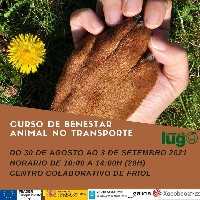 curso benestar animal friol