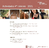 actividades museo castro de viladonga