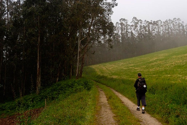 camino santiago ribadeo