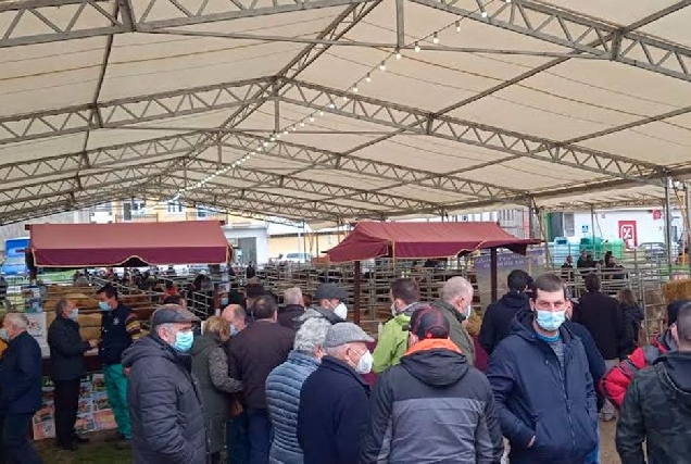 acruga subasta febreiro Valadouro feira