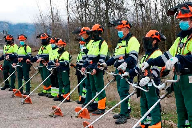 peon forestal traballo monte