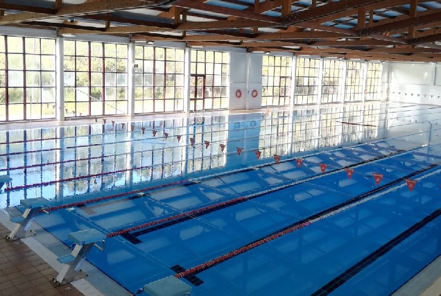 Cervo piscina olimpica Lieiro1