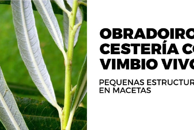 obradoiro de cesteria con vimbio vivo rabade portada