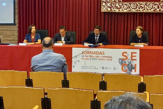 Clausura foro sech