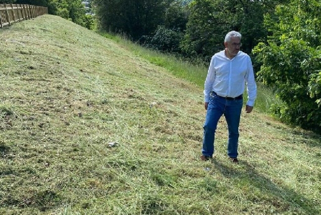 Miguel Fernandez zonas verdes