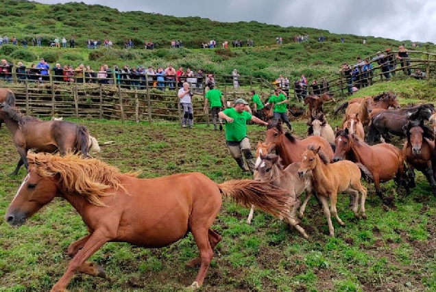 Rapa Campo do Oso 2022 (4)