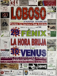 festas loboso pastoriza