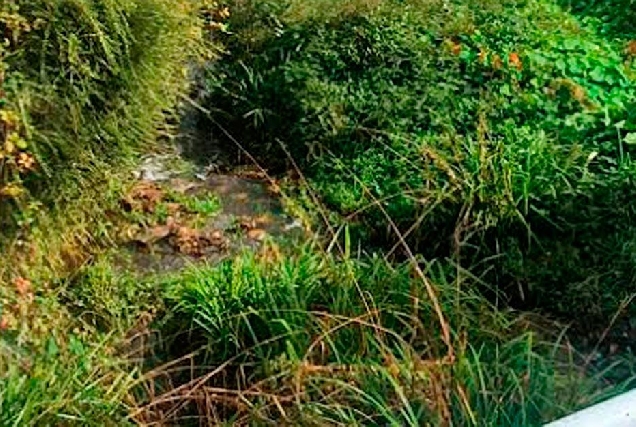 río Forcón en San Miguel