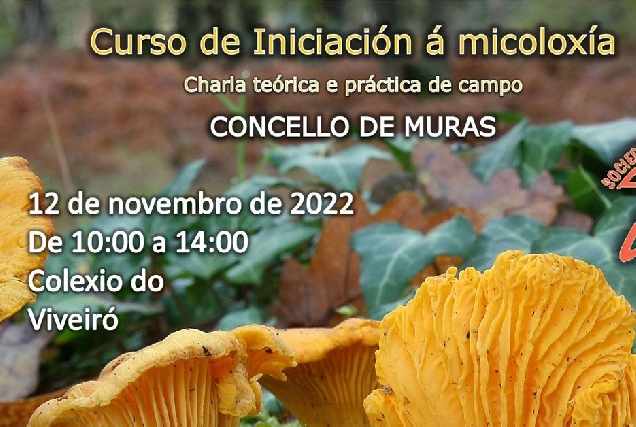 curso iniciacion a micoloxia portada