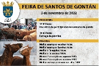 feira de santos gontan 2022