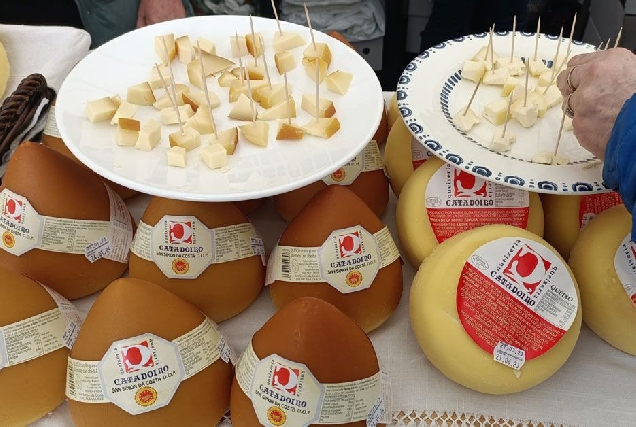 feira queixo sa simon vilalba15