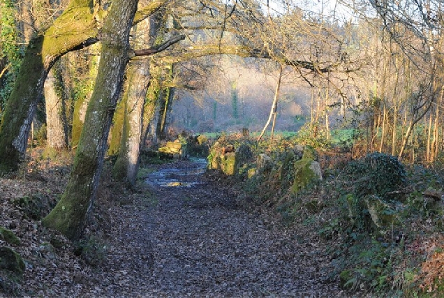 Ruta fervenza corgo