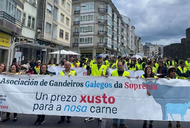 gandeiros suprema manifestacion lugo