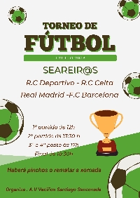 torneo futbol seareiros sancovade