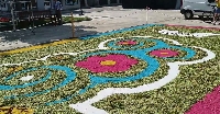 alfombra floral as pontes