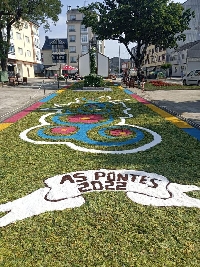 alfombra floral as pontes2