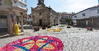 as pontes alfombras florais