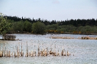 lagoa de riocaldo begonte