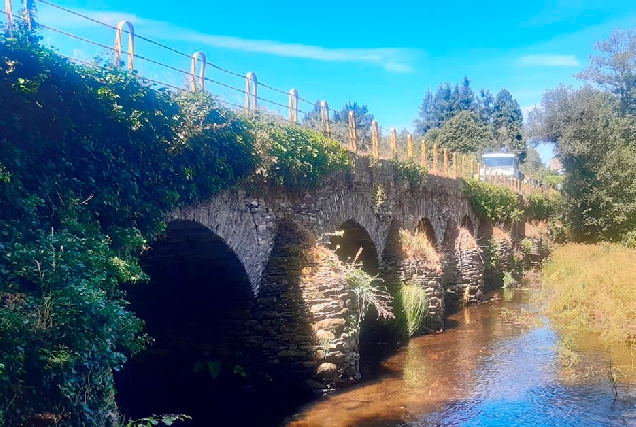 Ponte Uriz begonte